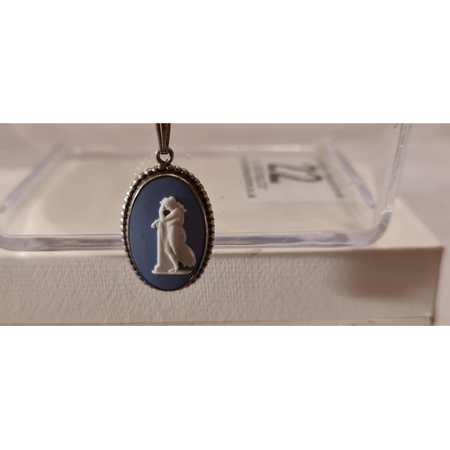 24 - Boxed Wedgwood Cameo Silver Jasperware Necklace