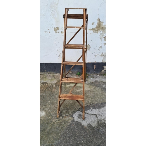 273 - Early 20th Century Hatherley Lattice Stepladder