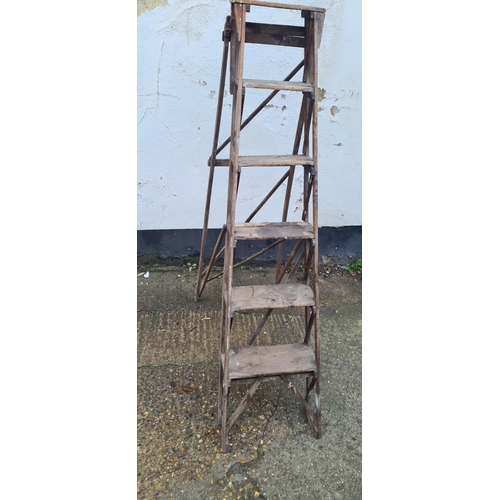 283 - Late 19th Century Hatherley Lattistep Ladder