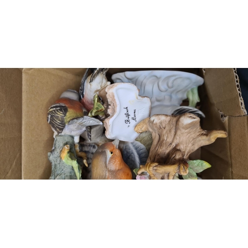 103 - Large Quantity of Assorted Bird Figurines