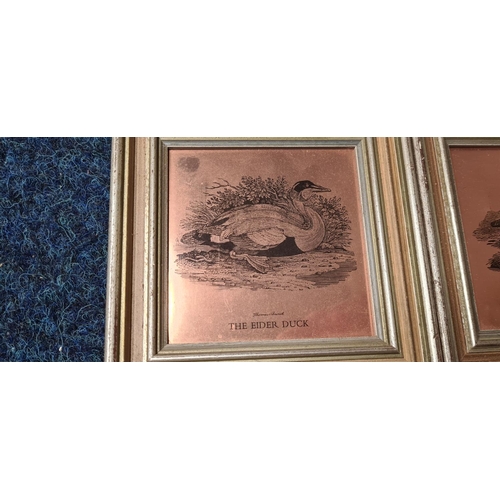 78 - Set of 4 Thomas Bewick Framed Copper Etchings of Birds