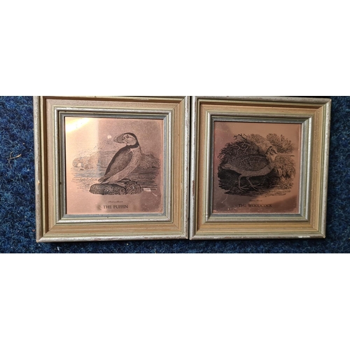 78 - Set of 4 Thomas Bewick Framed Copper Etchings of Birds