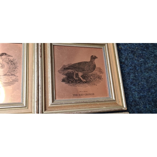 78 - Set of 4 Thomas Bewick Framed Copper Etchings of Birds