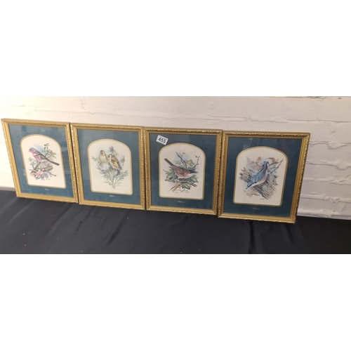 985 - 4 Vintage Bird Prints