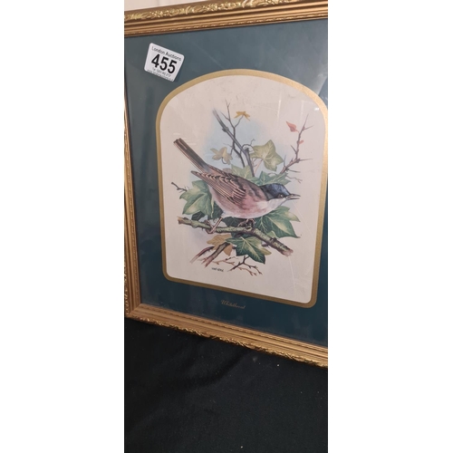 985 - 4 Vintage Bird Prints