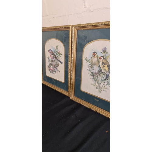 985 - 4 Vintage Bird Prints