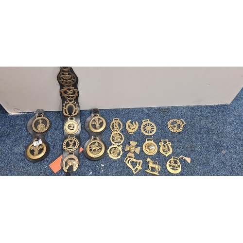 71 - Good Lot of Horse Brasses