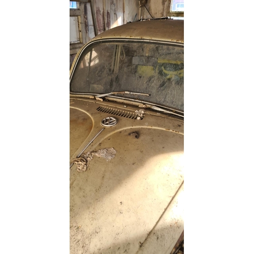 1a - Classic VW Beetle 1500 Barn Find Car. Left Hand Drive. 1 Key, Logbook Present.  (non-runner)