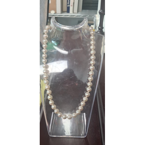 119 - A Good Set of Silver Clasped Pearls