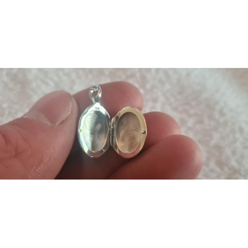 25 - Hallmarked Silver Necklace with Silver and Garnett Locket