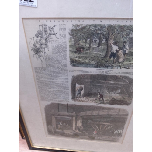 286 - Old Framed Cidermaking Book Plate