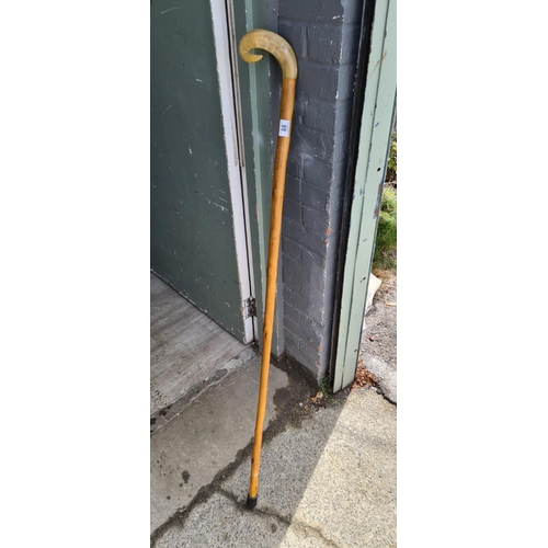 88 - Horn Handled Shepherds Crook Stick