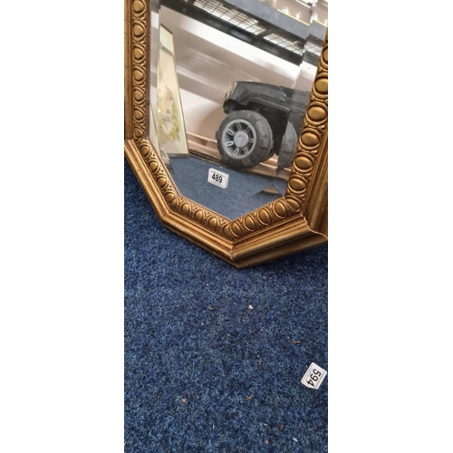 489 - Gold Gilt Framed Bevelled Mirror