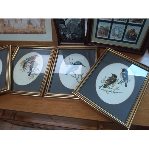 455 - A Lot of Bird/Owl Related Prints & Lithographs