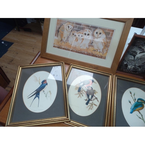 455 - A Lot of Bird/Owl Related Prints & Lithographs