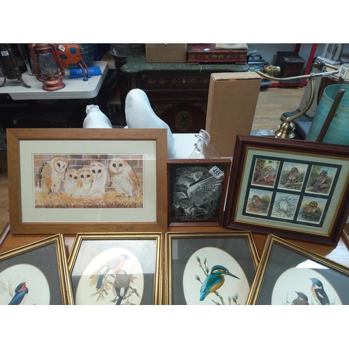 455 - A Lot of Bird/Owl Related Prints & Lithographs