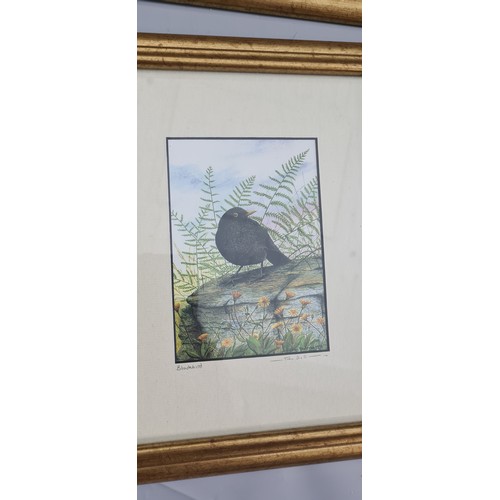 455d - Series of 5 Pencil Signed John Dolton Prints of Birds