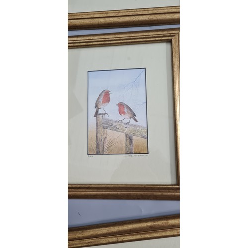 455d - Series of 5 Pencil Signed John Dolton Prints of Birds