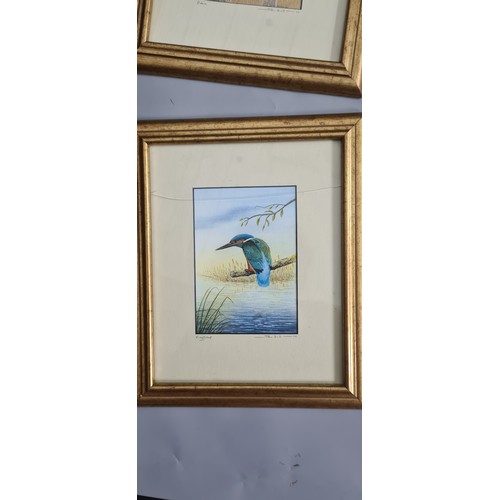 455d - Series of 5 Pencil Signed John Dolton Prints of Birds