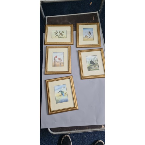 455d - Series of 5 Pencil Signed John Dolton Prints of Birds