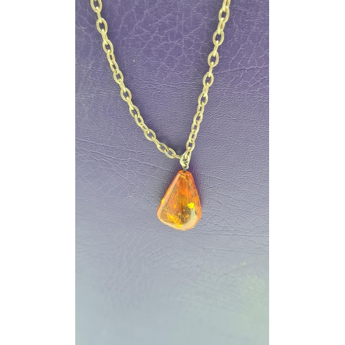 73 - Amber Pendant on a Silver Chain