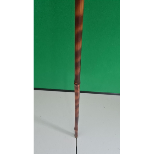 112 - Parachute Regiment Swagger Stick