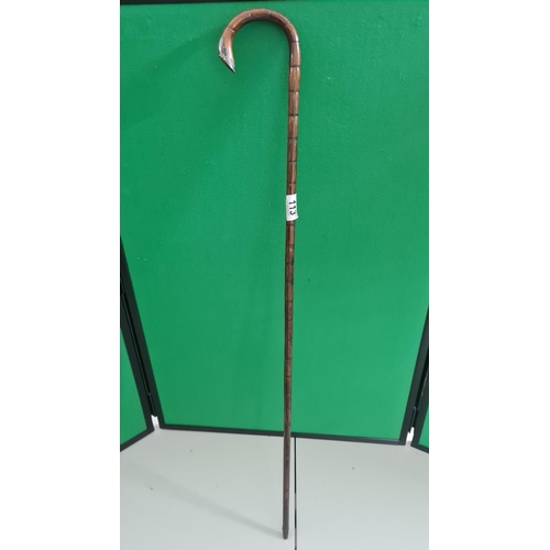 113 - Hallmarked Silver Handled Walking Stick