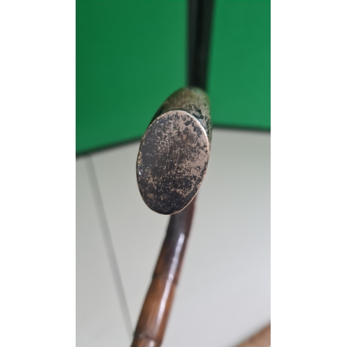 113 - Hallmarked Silver Handled Walking Stick