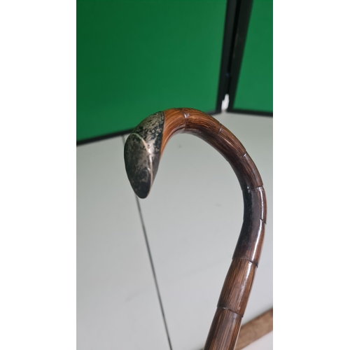 113 - Hallmarked Silver Handled Walking Stick