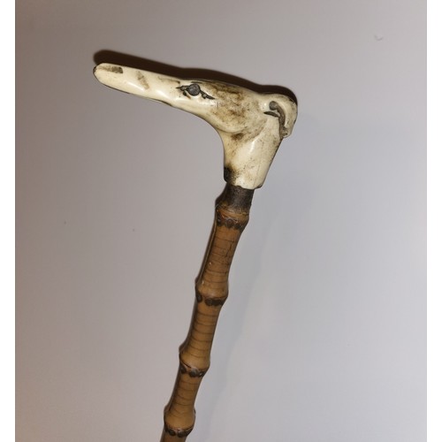 24 - Vintage dog head walking stick