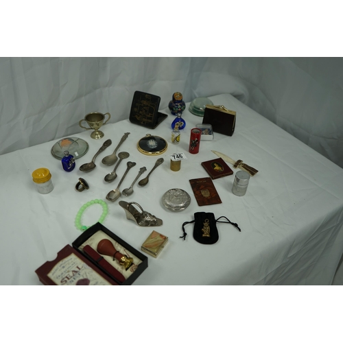 746 - Box of Various Collectables & Curios