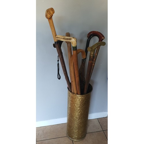 49 - Brass umbrella stand containing various walking sticks / canes etc.