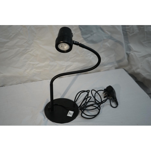 37 - Serious Readers Reading Lamp Working