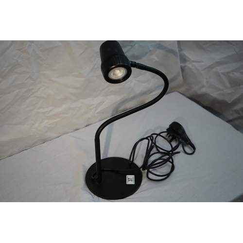 37 - Serious Readers Reading Lamp Working