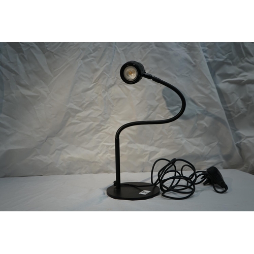 37 - Serious Readers Reading Lamp Working