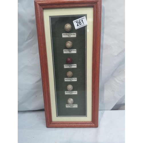 261 - Golf Balls Through the Years Framed Display