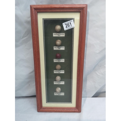 261 - Golf Balls Through the Years Framed Display