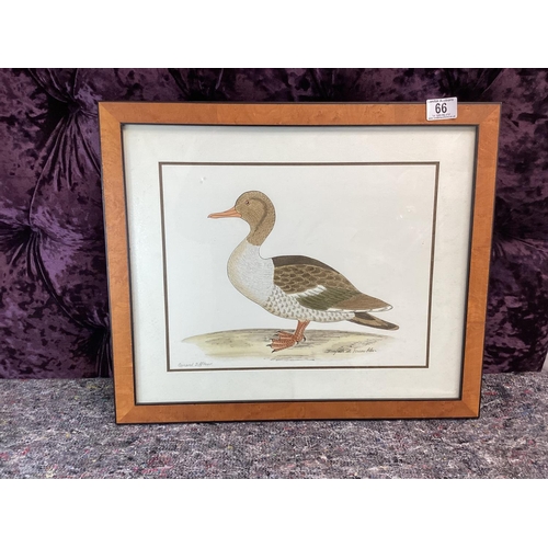 66 - Framed Duck Print