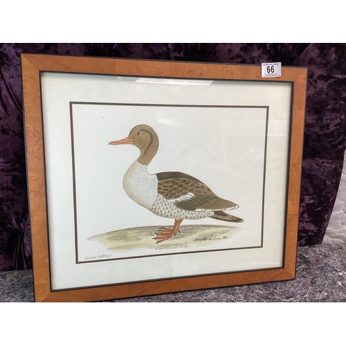 66 - Framed Duck Print