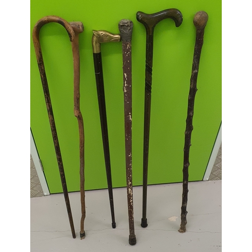 66 - Selection of old Walking sticks / canes