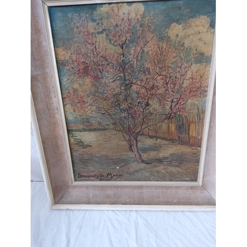 487 - Souvenir de Mauve
Vincent (Van Gogh)
Reproduction 54cmx65cm