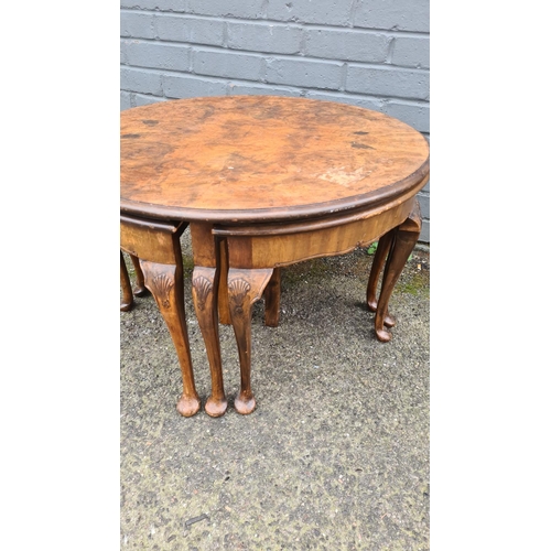 262 - Antique Nest of Burr Walnut Tables>