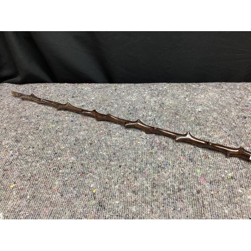 289 - Unusual Walking Stick