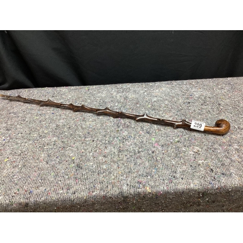 289 - Unusual Walking Stick