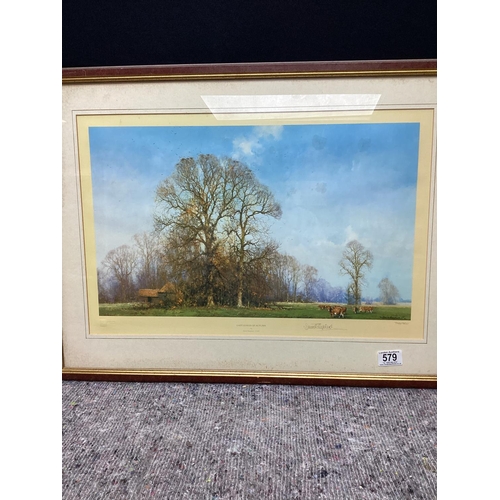 579 - Last Leaves of Autumn-David Shepherd OBE Signed Ltd Edition Print