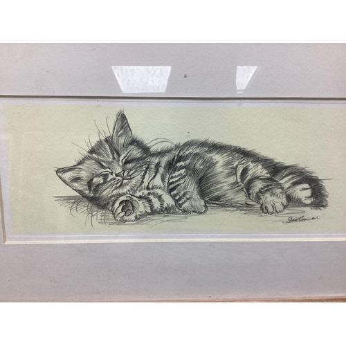 38 - Steve O'Connell-Pencil Sketch of a Cat Framed