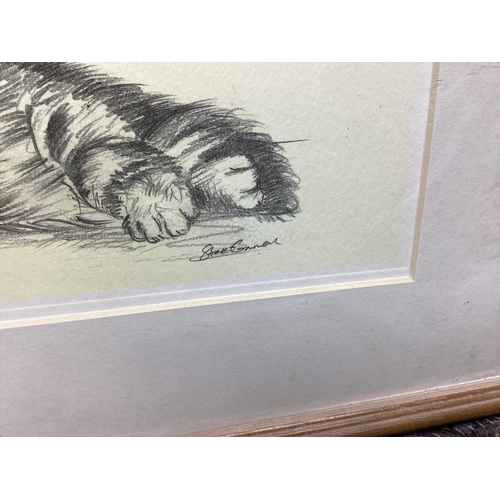 38 - Steve O'Connell-Pencil Sketch of a Cat Framed