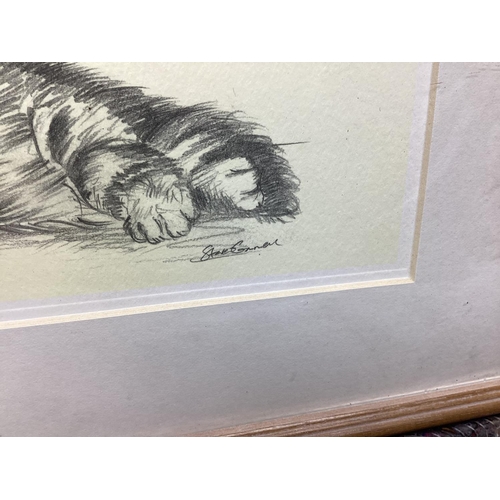 38 - Steve O'Connell-Pencil Sketch of a Cat Framed