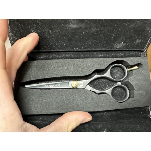 940 - New Pair of Sanguine Scissors