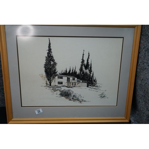 22 - Framed Print